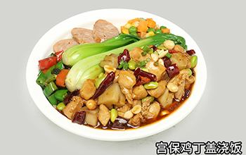 宮保雞丁蓋澆飯